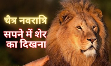 नवरात्रि में सपने में शेर का दिखना बड़ा संकेत, शावक दिखना खुशियों की तरफ इशारा