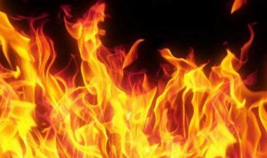 ब्राजील के होटल में आग लगने से कम से कम 10 लोगों की मौत