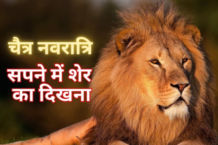 नवरात्रि में सपने में शेर का दिखना बड़ा संकेत, शावक दिखना खुशियों की तरफ इशारा