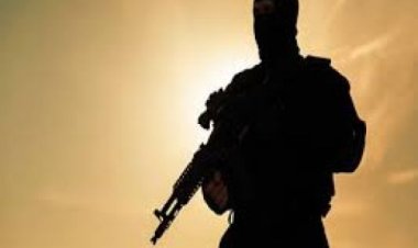 नाइजीरिया : चरमपंथी समूह बोको हराम के चंगुल से सैकड़ों लोगों को मुक्त कराया गया