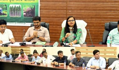 योजनाबद्ध तरीके से युद्धस्तर पर अभियान चलाकर किया जाएं पौधारोपणः कलेक्टर सुश्री ऋचा प्रकाश चौधरी
