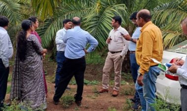 आत्मनिर्भर भारत अंतर्गत ऑयल पॉम योजना