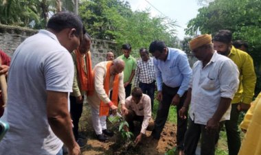 वृक्ष के बिना जीवन संभव नहीं, पौधे ही हमे शुद्ध आक्सीजन प्रदान करती हैं: ललित चंद्राकर 