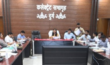 सड़कों से आवारा पशुओं को हटाने अभियान चलाये & कलेक्टर सुश्री चौधरी