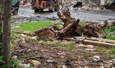 बड़ी खबर: दुर्ग के हृदय स्थल से जीरो वेस्ट हटाने की मांग, नहीं हटा तो 10 हजार छात्र होंगे सड़क पर