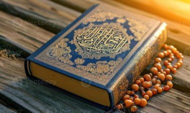 Quran: कहां लिखा है कि कुरान के अपमान पर मिले मौत की सजा?, इस्लामिक काउंसिल चीफ ने खोल दी कट्टरपंथी मुस्लिम समूहों की पोल, बताया असली कानून