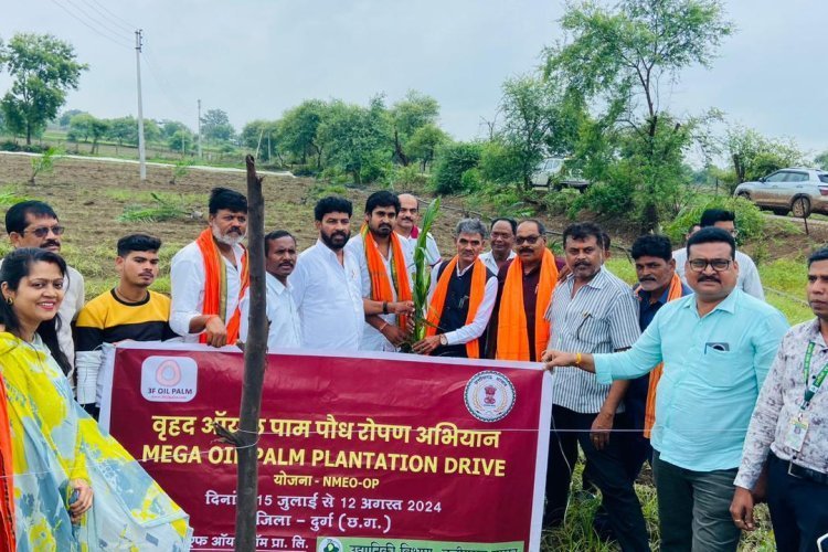 विधायक ईश्वर साहू की मौजूदगी में किया गया ऑयल पॉम पौधरोपण