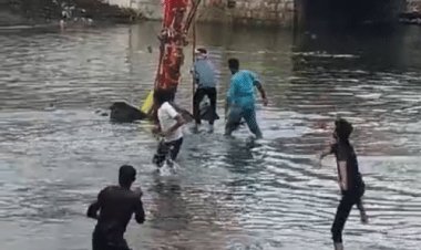 किसी की पसली टूटी, किसी की आंख फूटी:सैकड़ों साल पुरानी 'गोटमार' पंरपरा में 600 लोग घायल; पत्थर रोकने नहीं, मॉनिटरिंग के लिए पुलिस