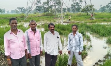 विद्युत शक्ति संचरण के नाम पर किसानों के खड़ी फसलों को रौंद रहे हैं..