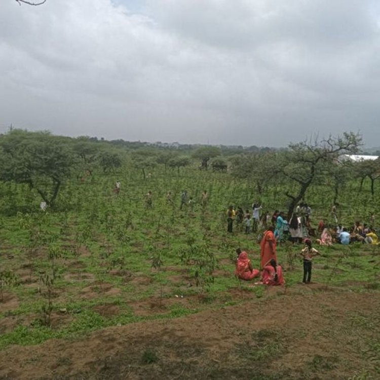 इंदौर में दिन में कभी तेज धूप तो कभी रिमझिम:दिन के तापमान में 1 डिग्री की गिरावट, आज दोपहर बाद बारिश के आसार