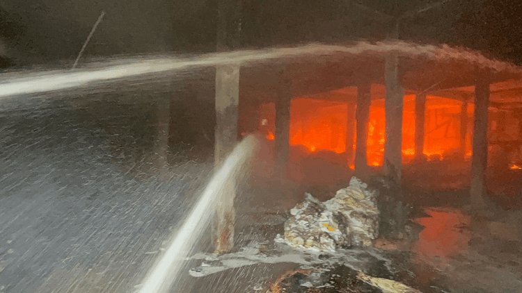 Durg Fire News: राइस मिल के गोदाम में लगी भीषण आग, मौके पर फायर ब्रिगेड की चार गाड़ियां; लाखों के नुकसान की आश