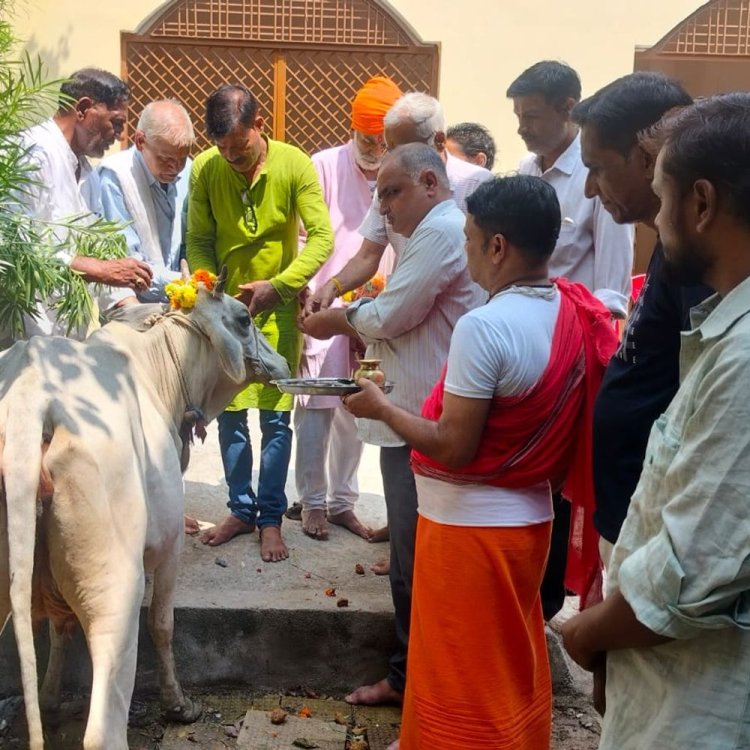 जागेश्वर धाम मंदिर में किया गौ पूजन:पूर्वजों की शांति के लिए कराया भंडारा, निराश्रित गोवंश को खिलाया हरा चारा और खीर पूरी