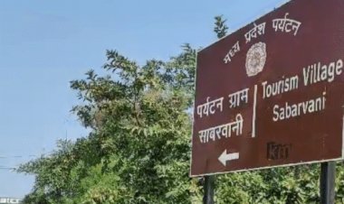 बैलगाड़ी से घूम रहे विदेशी, रात में गा रहे भजन:पचमढ़ी के पर्यटकों का होम स्टे बना छिंदवाड़ा का सावरवानी, 300 विदेशी सैलानी आ चुके