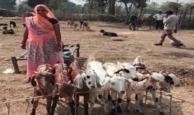 संकल्प, सफलता और परम्परा से आधुनिकता की ओर, उन्नत बकरी पालन एक नई शुरूआत