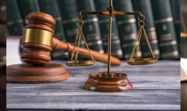 वन्य जीवों के विरुद्ध अपराधों की रोकथाम के लिये उच्च न्यायालय ने किये निर्देश जारी