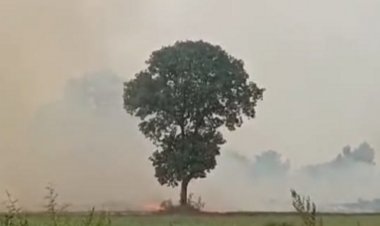 किसानों के लिए जरुरी खबर:हाई कोर्ट बार का निर्णय; पराली जलाने वालों की वकील नहीं करेगें पैरवी