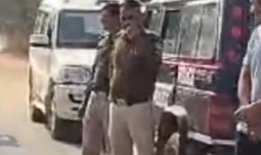 नूराबाद के थनैला गांव में हत्या का मामला:गांव में भारी पुलिस बल तैनात; 25 साल पुराने जमीन विवाद को लेकर मारी थी गोली