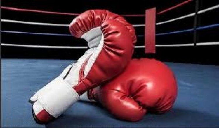 पार्थवी, वंशिका, हेमंत के स्पर्ण से भारतीय मुक्केबाजों ने अंडर-19 विश्व चैंपियनशिप में 17 पदक जीते