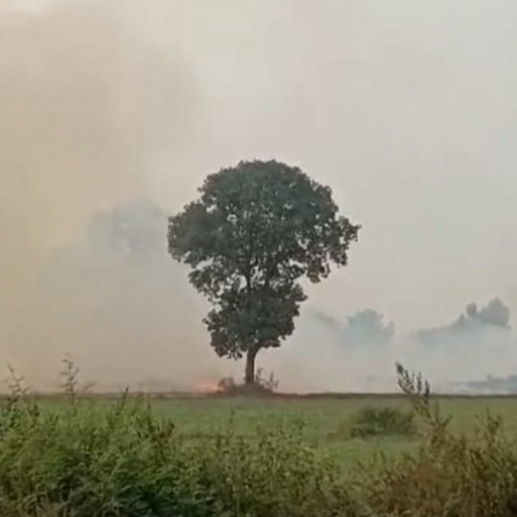 किसानों के लिए जरुरी खबर:हाई कोर्ट बार का निर्णय; पराली जलाने वालों की वकील नहीं करेगें पैरवी