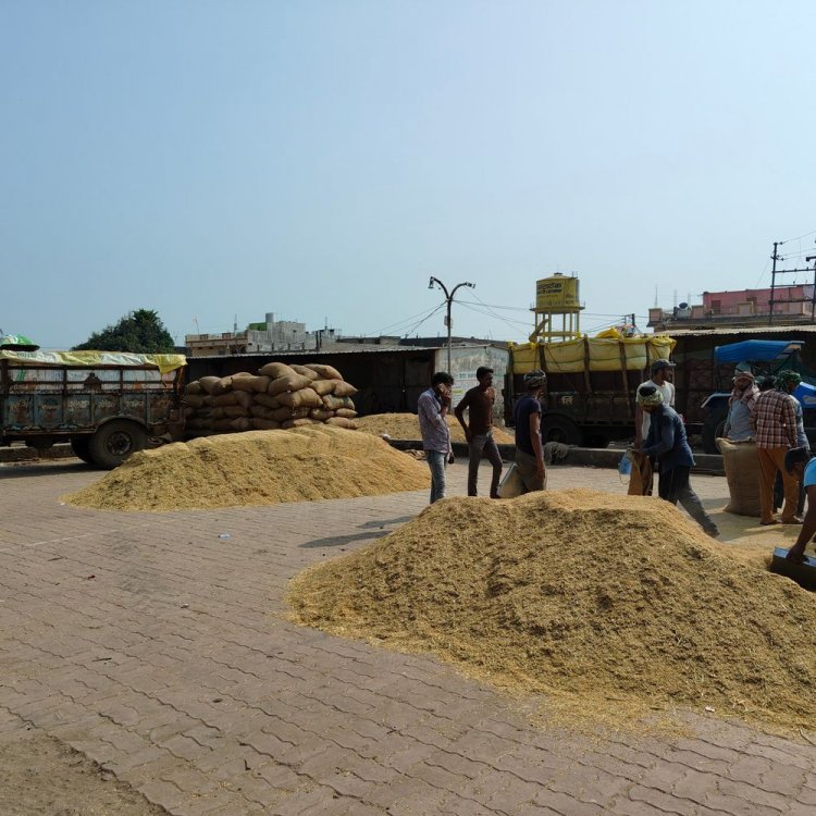 दुकानदारों के लिए बनवाए शेड तुलाई में हो रहे उपयोग:नपा ने खर्च किए लाखों रुपए, लोगों को आवागमन में हो रही परेशानी