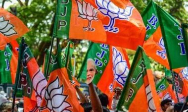 पांढुर्णा जिला संगठन में जिलाध्यक्ष के चयन को लेकर प्रक्रिया संपन्न, केंद्रीय नेतृत्व करेगा अंतिम फैसला