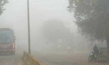 श्योपुर में छाया घना कोहरा:विजिबिलिटी 10 मीटर से भी कम, ठंड ने बढ़ाई परेशानियां, न्यूनतम तापमान में गिरावट