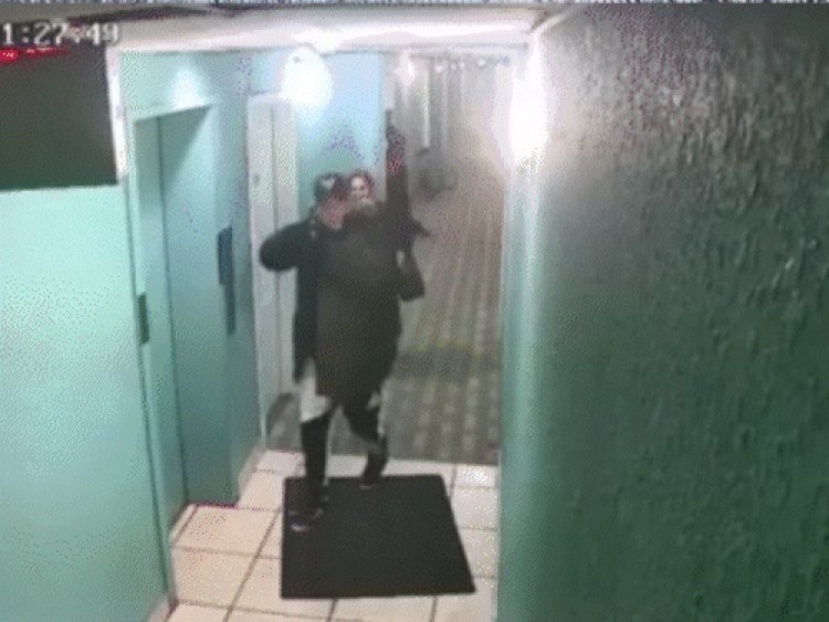 कनाडा में भारतीय स्टूडेंट की हत्या:हमलावर ने सीढ़ियों पर पीछे से गोली मारी; सिक्योरिटी गार्ड की नौकरी करता था