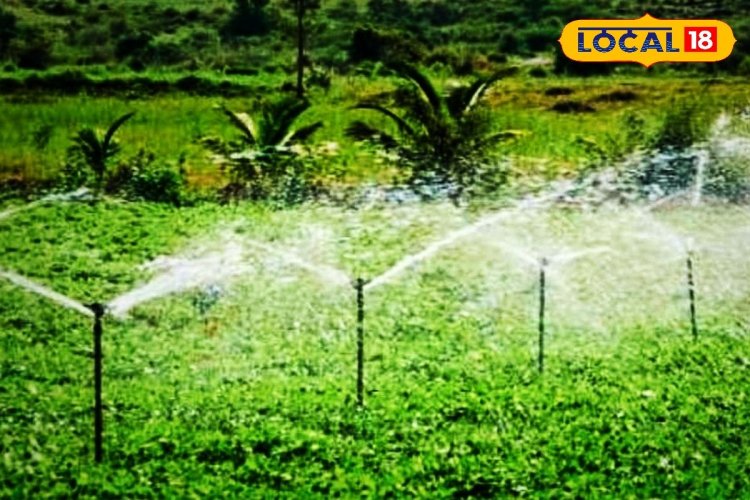 गेंहू की खेती के लिए अपनाएं ये स्मार्ट तरीका, पानी की होगी बचत