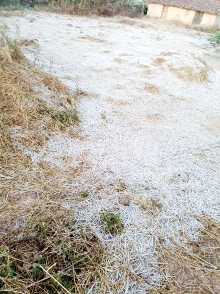 सरगुजा संभाग में शीत लहर चलने का येलो अलर्ट