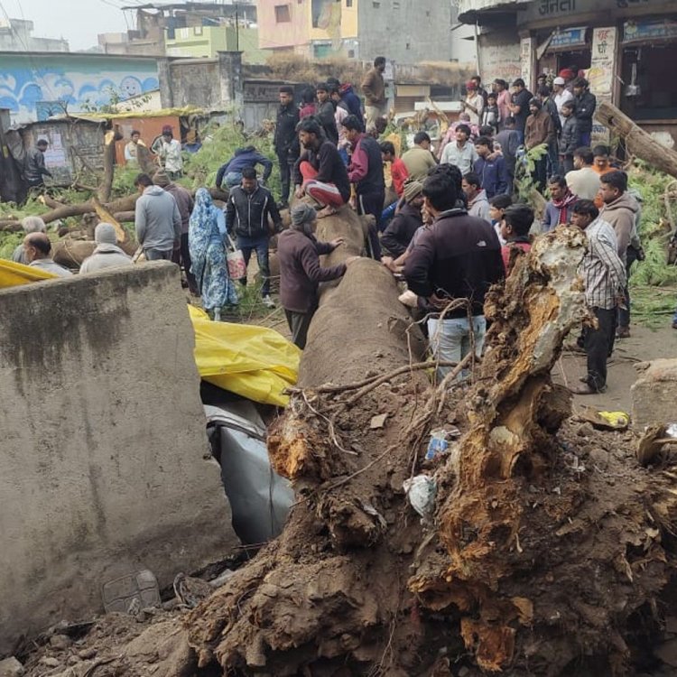 धार में अचानक गिरा पेड़, महिला की मौत, VIDEO:दो लोग घायल, कई वाहन हुए क्षतिग्रस्त; घटना सीसीटीवी में कैद