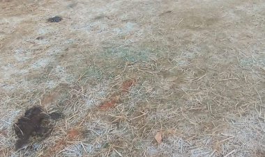 सरगुजा : शीतलहर ने दिन में भी बढ़ाई ठिठुरन, पठारी इलाके में पारा एक डिग्री