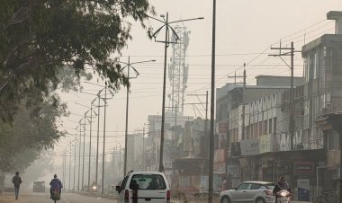 रायसेन में रात में हल्की बारिश के साथ कोहरा छाया:सर्द हवाओं ने ठंड बढ़ाई, संक्रांति तक ऐसा ही रहेगा मौसम