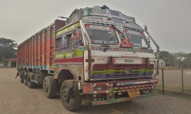 Durg: ट्रक की चपेट में आने से बुजुर्ग महिला की मौके पर मौत, परिजनों का बुरा हाल