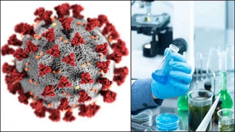 एचएमपीवी संक्रमण के चलते रेलवे स्टेशन और हवाई अड्डों पर जांच शुरू, अस्पतालों में मरीजों की स्क्रीनिंग