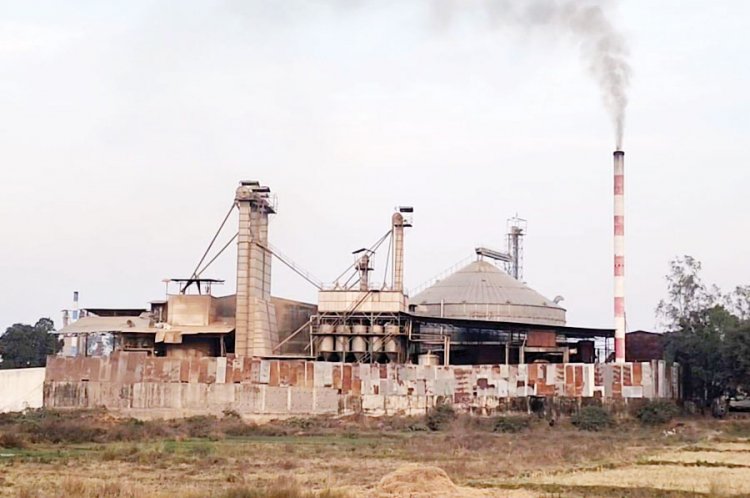 राइस मिल की राखड़ और धुएं से त्रस्त लोग, बीमारी और प्रदूषण से बढ़ी परेशानी