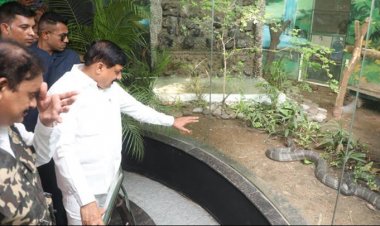 मुख्यमंत्री डॉ. यादव ने इंदौर के कमला नेहरू प्राणी संग्रहालय को दी किंग कोबरा (मेल) की सौगात