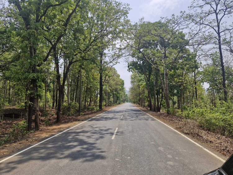 नांदगांव से खैरागढ़ और मानपुर का रास्ता होगा चौड़ा, कटेंगे हजारों पेड़