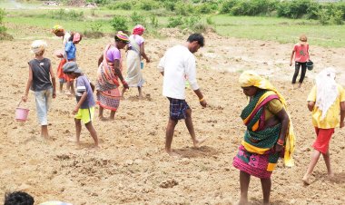 बस्तर में बुआई शुरू
