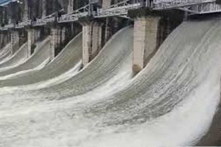 MP में लगातार तेज बारिश नर्मदा नदी खतरे के निशान से ऊपर मंडला, डिंडौरी, श्योपुर, शहडोल, उमरिया समेत कई जिले बाढ़ की चपेट में