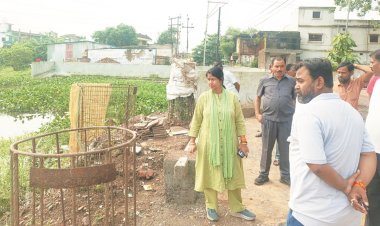 महापौर ने अवैध नाली निर्माण और जलभराव पर जताई नाराजगी