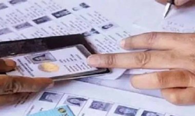 वोटर लिस्ट में ‘काजू-बादाम’ से लेकर ‘शेरनी’ तक! अजीबोगरीब नामों ने उड़ाए अधिकारियों के होश