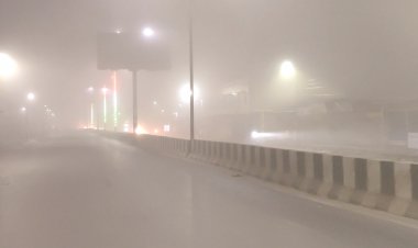 घना कोहरा, दृश्यता घटी, गाडिय़ों की रफ्तार धीमी